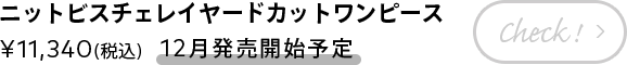 ニットビスチェレイヤードカットワンピース ¥11,340(税込) 【12月発売開始予定】