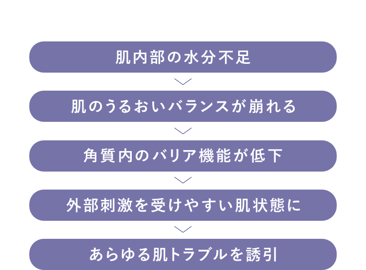 肌内部の水分不足 > 肌のうるおいバランスが崩れる > 角質内のバリア機能が低下 > 外部刺激を受けやすい肌状態に > あらゆる肌トラブルを誘引