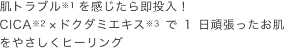 肌トラブルを感じたら即投入！CICA×ドクダミエキスで1日頑張ったお肌をやさしくヒーリング