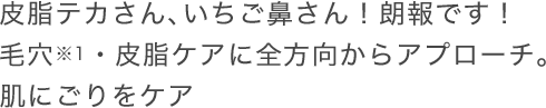 皮脂テカさん、いちご鼻さん！朗報です！毛穴・皮脂ケアに全方向からアプローチ。