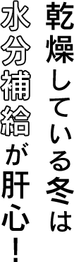 乾燥している冬は水分補給が肝心！