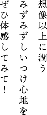 想像以上に潤うみずみずしいつけ心地をぜひ体感してみて！