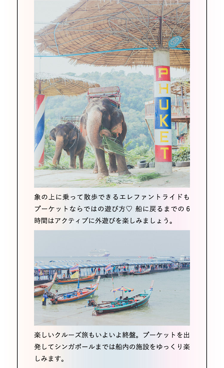 象の上に乗って散歩できるエレファントライドもプーケットならではの遊び方♡ 船に戻るまでの6時間はアクティブに外遊びを楽しみましょう。楽しいクルーズ旅もいよいよ終盤。プーケットを出発してシンガポールまでは船内の施設をゆっくり楽しみます。
