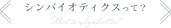 シンバイオティクスって？