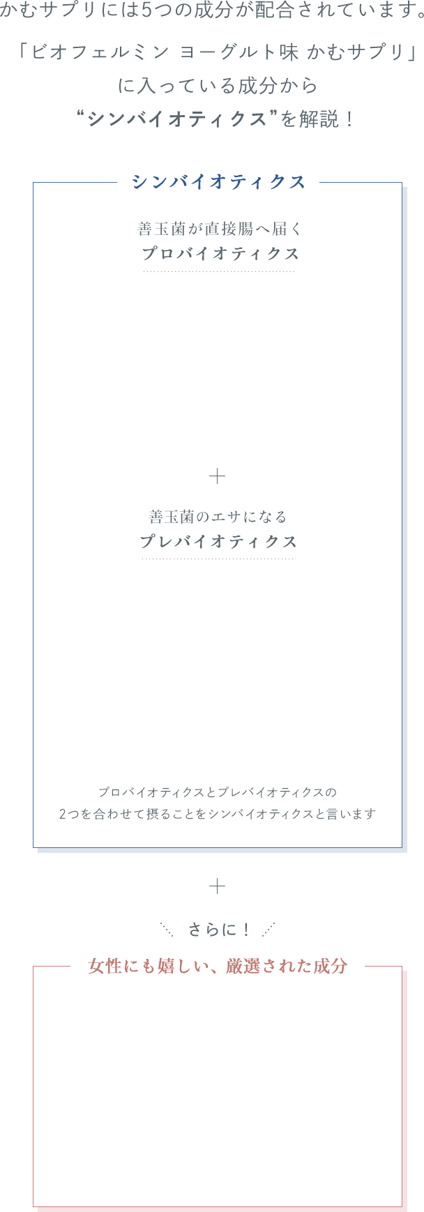 かむサプリには5つの成分が配合されています。「ビオフェルミン ヨーグルト味 かむサプリ」に入っている成分から“シンバイオティクス”を解説！ 「シンバイオティクス」(善玉菌が直接腸へ届くプロバイオティクス + 善玉菌のエサになるプレバイオティクス) + さらに！「女性にも嬉しい、厳選された成分」