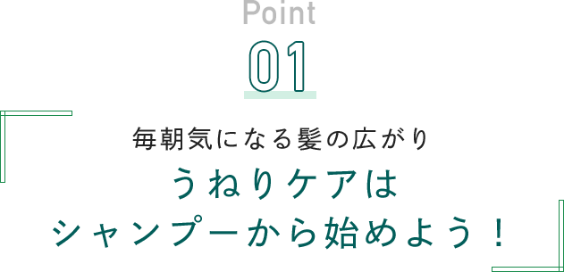Point 01 毎朝気になる髪の広がり うねりケアはシャンプーから始めよう！
