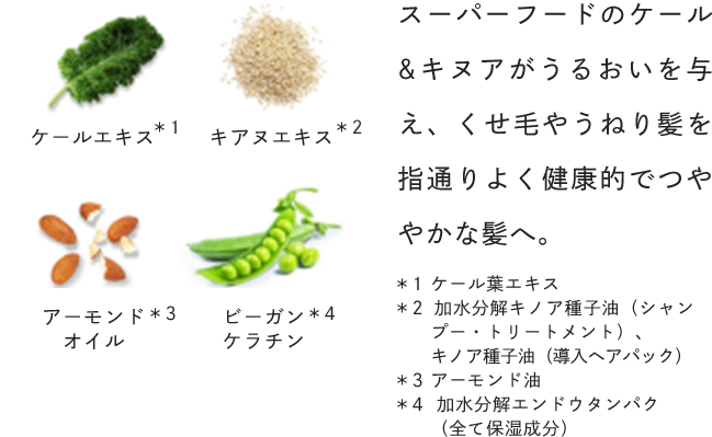 スーパーフードのケール&キヌアがうるおいを与え、くせ毛やうねり髪を指通りよく健康的でつややかな髪へ。