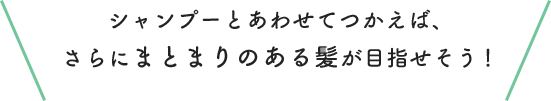 シャンプーとあわせてつかえば、さらにまとまりのある髪が目指せそう！
