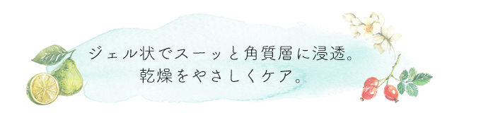 ジェル状でスーッと角質層に浸透。乾燥をやさしくケア。