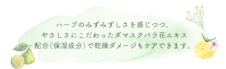 ハーブのみずみずしさを感じつつ、やさしさにこだわったダマスクバラ花エキス配合（保湿成分）で乾燥ダメージもケアできます。