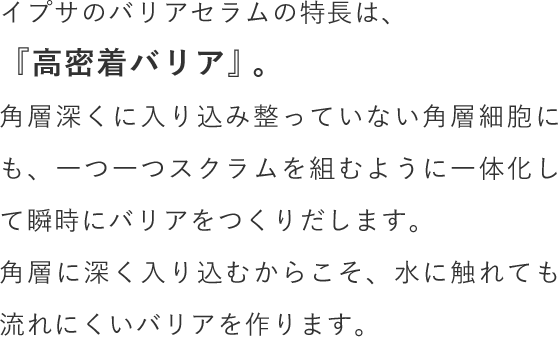 イプサのバリアセラムの特長は、『高密着バリア』。角層深くに入り込み整っていない角層細胞にも、一つ一つスクラムを組むように一体化して瞬時にバリアをつくりだします。角層に深く入り込むからこそ、水に触れても流れにくいバリアを作ります。