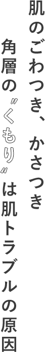 肌のごわつき、かさつき、角層のくもりは肌トラブルの原因