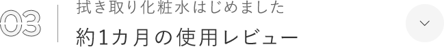 03 拭き取り化粧水はじめました 約1カ月の使用レビュー
