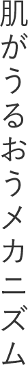 肌がうるおうメカニズム