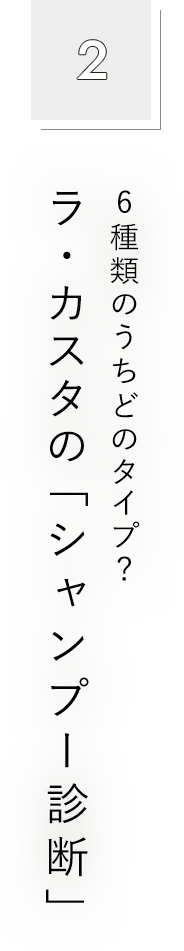 2 6種類のうちどのタイプ？ ラ・カスタの「シャンプー診断」