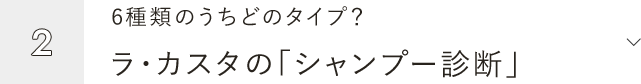 2.6種類のうちどのタイプ？ ラ・カスタの「シャンプー診断」