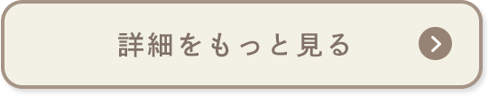 詳細をもっと見る