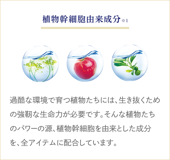 植物幹細胞由来成分 過酷な環境で育つ植物たちには、生き抜くための強靭な生命力が必要です。そんな植物たちのパワーの源、植物幹細胞を由来とした成分を、全アイテムに配合しています。