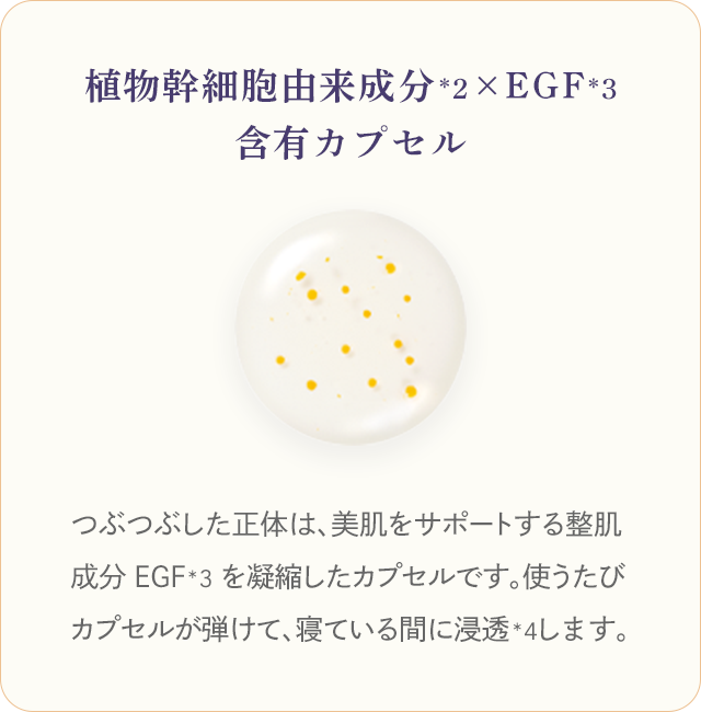 植物幹細胞由来成分×EGF含有カプセル つぶつぶした正体は、美肌をサポートする整肌成分EGFを凝縮したカプセルです。使うたびカプセルが弾けて、寝ている間に浸透します。