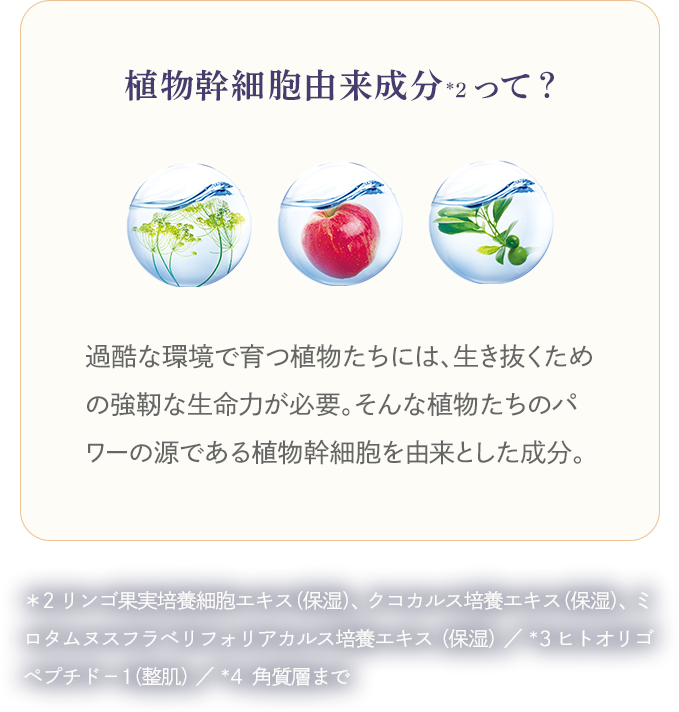 植物幹細胞由来成分って？ 過酷な環境で育つ植物たちには、生き抜くための強靭な生命力が必要。そんな植物たちのパワーの源である植物幹細胞を由来とした成分。
