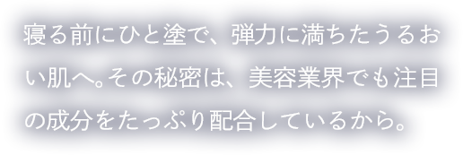 寝る前にひと塗で、弾力に満ちたうるおい肌へ。その秘密は、美容業界でも注目の成分をたっぷり配合しているから。