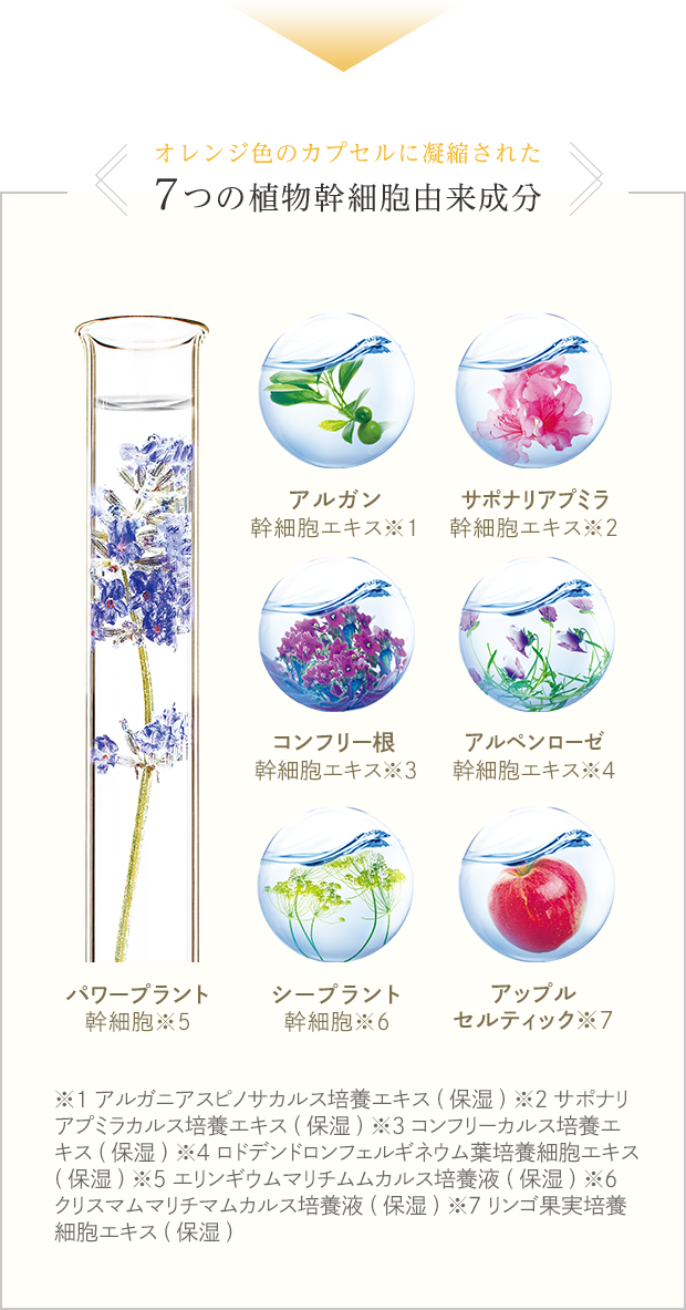 7つの植物幹細胞由来成分 アルガン サポナリアプミラ コンフリー根 アルペンローゼ パワープラント シープラント アップル