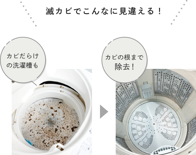 滅カビでこんなに見違える！