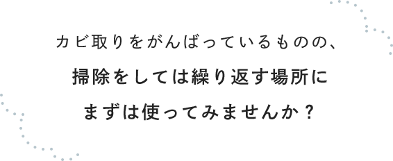 カビ取りをがんばっているものの、掃除をしては繰り返す場所にまずは使ってみませんか？
