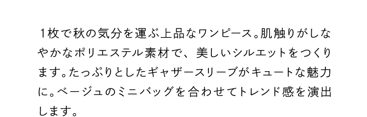 １枚で秋の気分を運ぶ上品なワンピース。肌触りがしなやかなポリエステル素材で、美しいシルエットをつくります。たっぷりとしたギャザースリーブがキュートな魅力に。ベージュのミニバッグを合わせてトレンド感を演出します。