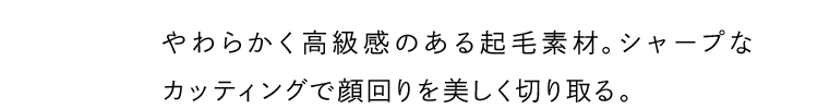 やわらかく高級感のある起毛素材。シャープなカッティングで顔回りを美しく切り取る。