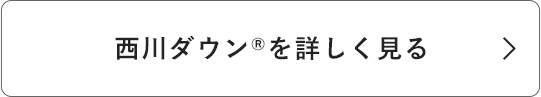 西川ダウン®を詳しく見る