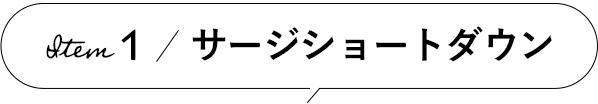 Item 1 サージショートダウン