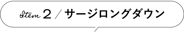 Item 2 サージロングダウン