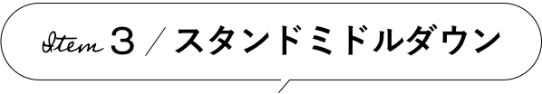 Item 3 スタンドミドルダウン