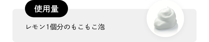 【使用量】レモン1個分のもこもこ泡