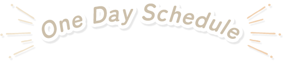 One Day Schedule