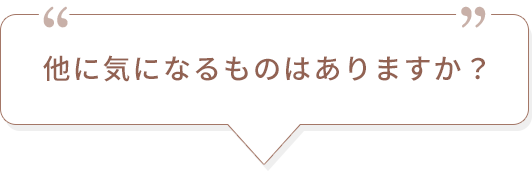 他に気になるものはありますか？
