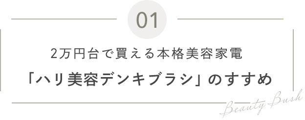 01 2万円台で買える本格美容家電 「ハリ美容デンキブラシ」のすすめ