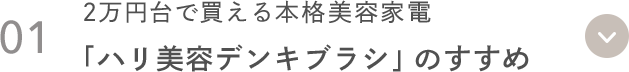 01 2万円台で買える本格美容家電 「ハリ美容デンキブラシ」のすすめ