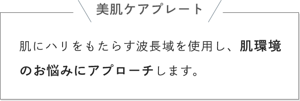 美肌ケアプレート 肌にハリをもたらす波長域を使用し、肌環境のお悩みにアプローチします。