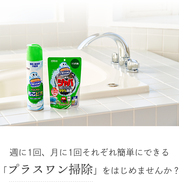 週に1回、月に1回それぞれ簡単にできる「プラスワン掃除」をはじめませんか？