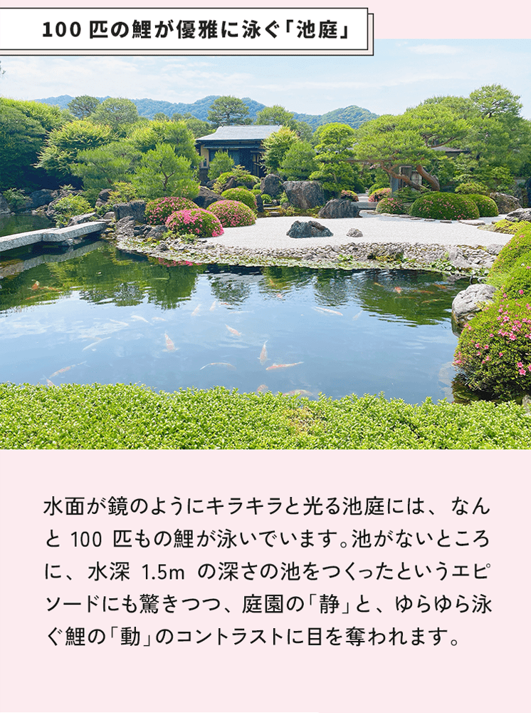 100匹の鯉が優雅に泳ぐ「池庭」