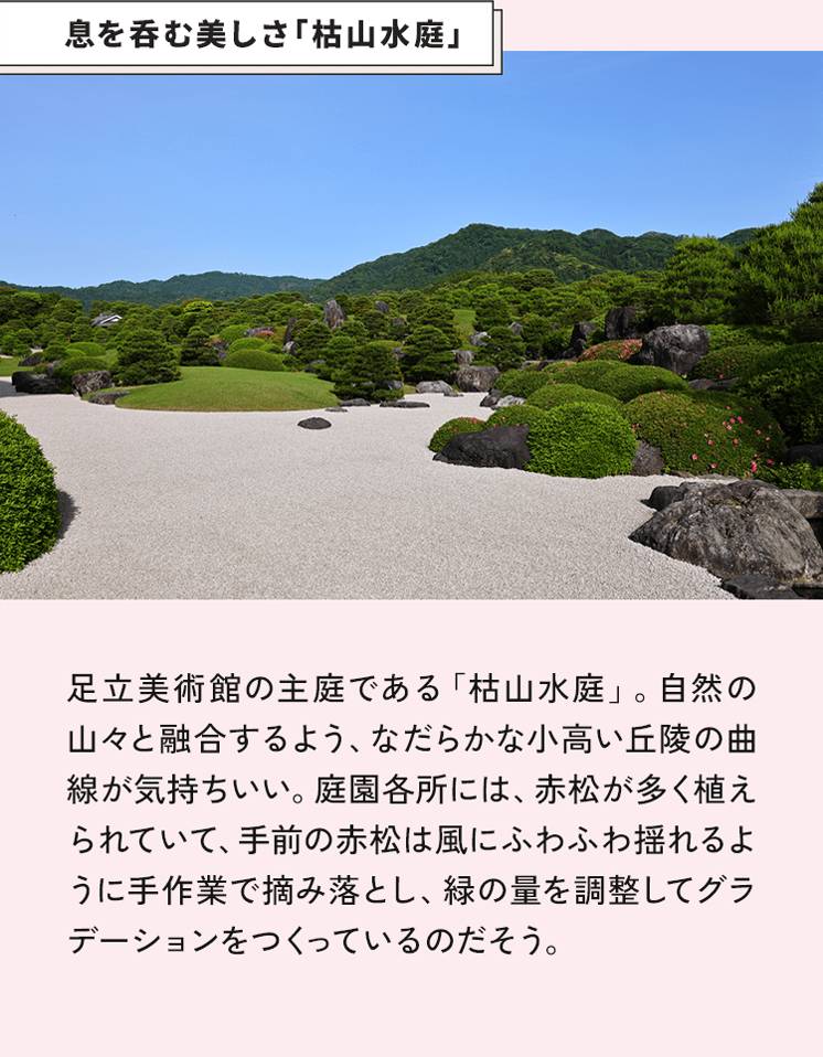 息を呑む美しさ「枯山水庭」