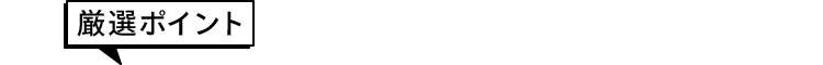 厳選ポイント