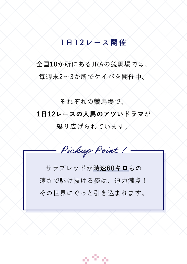 全国10か所にあるJRAの競馬場では、毎週末2～3か所でケイバを開催中。それぞれの競馬場で、1日12レースの人馬のアツいドラマが繰り広げられています。サラブレッドが時速60キロもの速さで駆け抜ける姿は、迫力満点！その世界にぐっと引き込まれます。