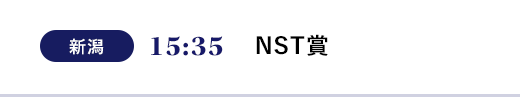 新潟 15:35 NST賞
