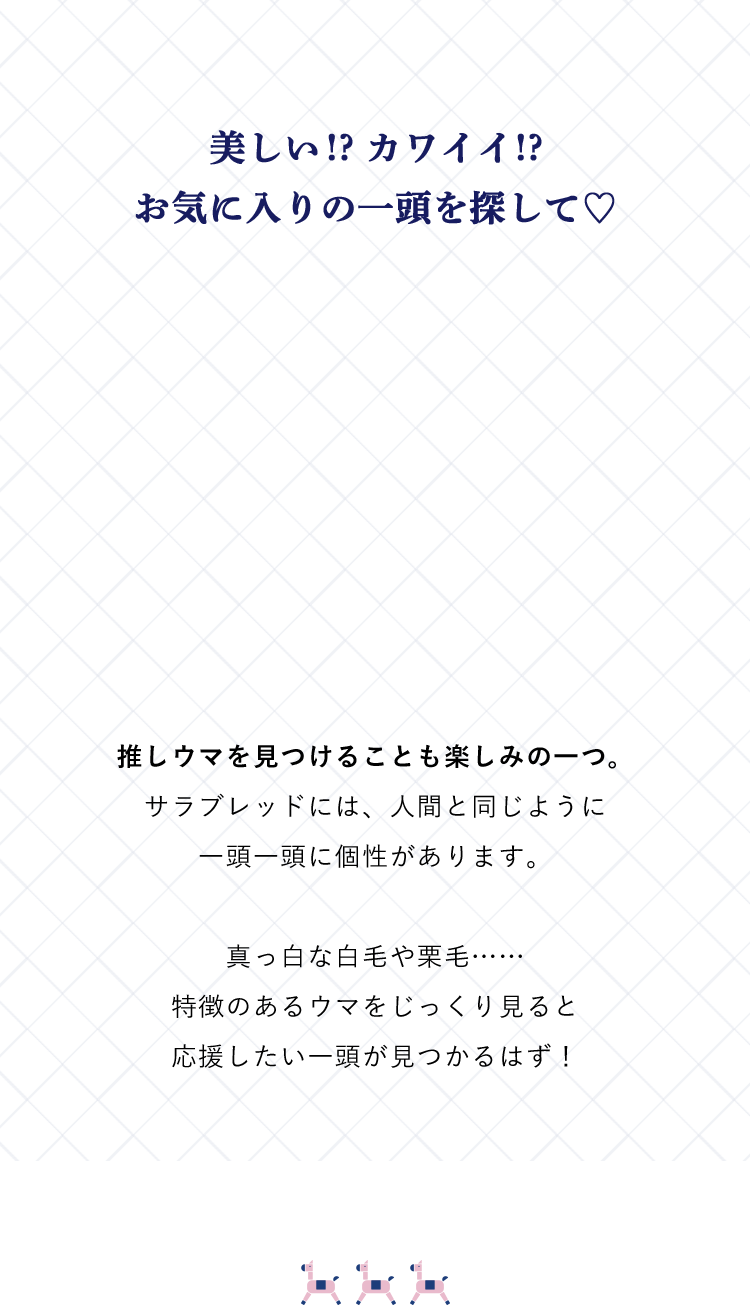 美しい!? カワイイ!?お気に入りの一頭を探して♡ 推しウマを見つけることも楽しみの一つ。サラブレッドには、人間と同じように一頭一頭に個性があります。真っ白な白毛や栗毛……特徴のあるウマをじっくり見ると応援したい一頭が見つかるはず！