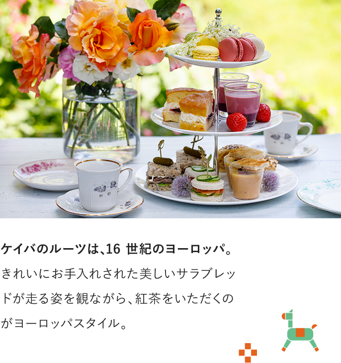 ケイバのルーツは、16世紀のヨーロッパ。きれいにお手入れされた美しいサラブレッドが走る姿を観ながら、紅茶をいただくのがヨーロッパスタイル。