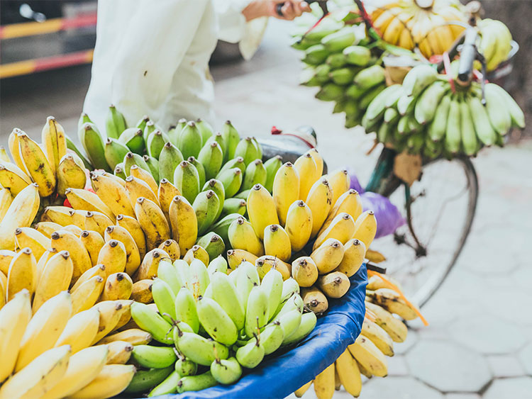 周辺の風景写真