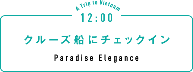 12:00 クルーズ船にチェックイン Paradise Elegance